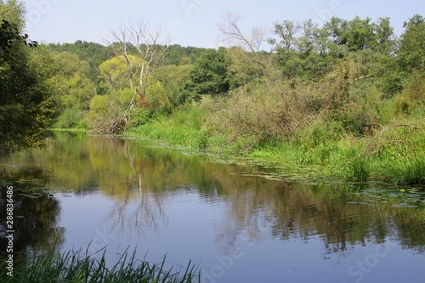 Fototapeta Fluß Auen