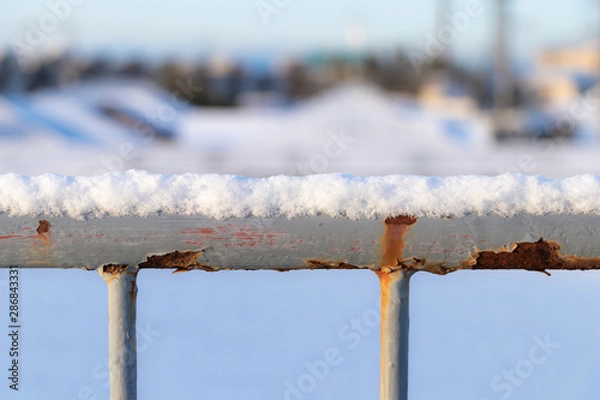 Fototapeta 雪の日の朝