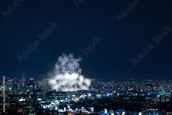 Fototapeta なにわ淀川花火大会