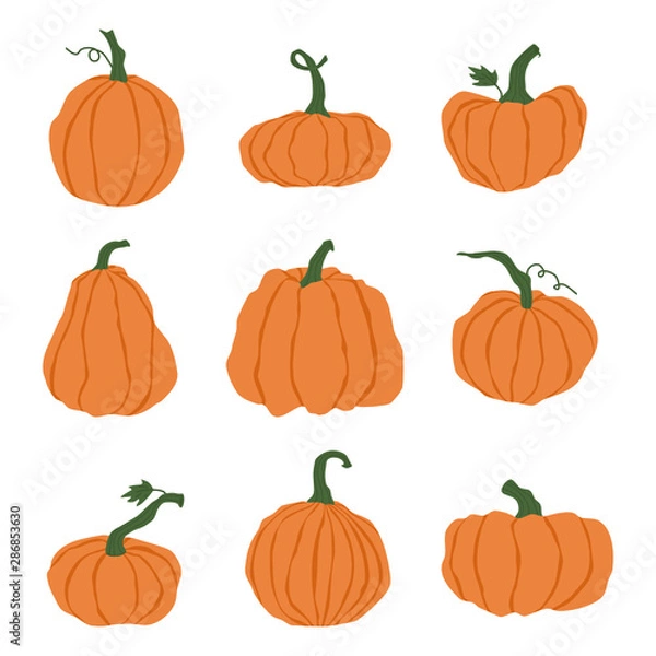 Obraz Cartoon halloween pumpkin set. Different shapes and sizes orange gourd isolated on white background. Hand drawn various pumpkins. Orange pumpkin for the holiday Halloween. Vector illustration.