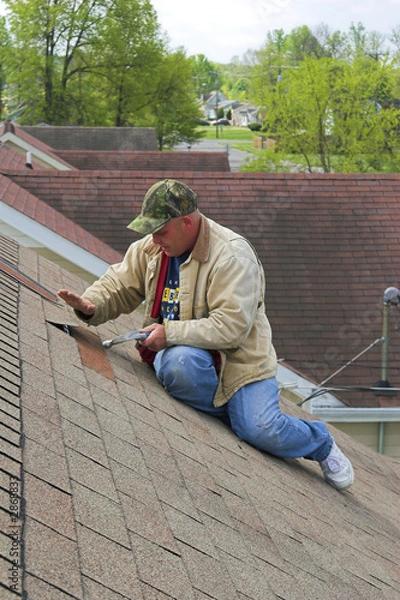 Fototapeta working on roof 1 series