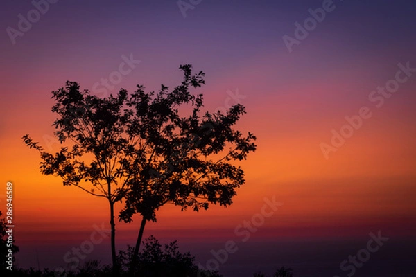 Fototapeta atardecer
