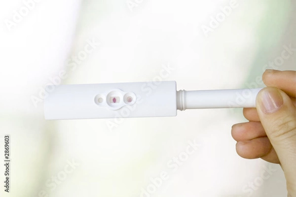 Obraz pregnancy test