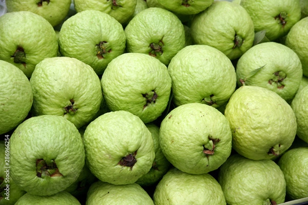 Obraz Fruit. Guava - Bangkok