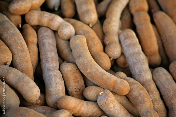 Obraz Fruit. Tamarind - Bangkok