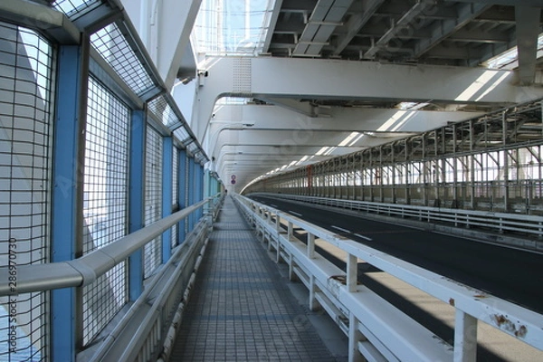 Fototapeta レインボーブリッジの下の風景