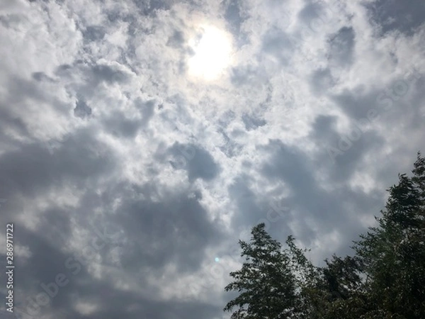 Obraz blue sky and clouds