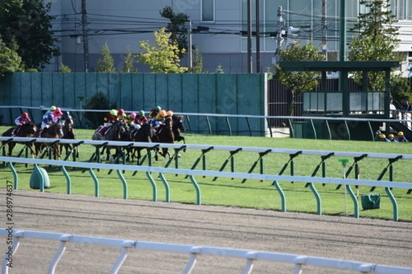 Fototapeta 競馬