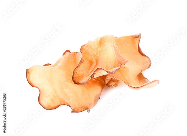 Obraz Ear mushroom isolated on white background