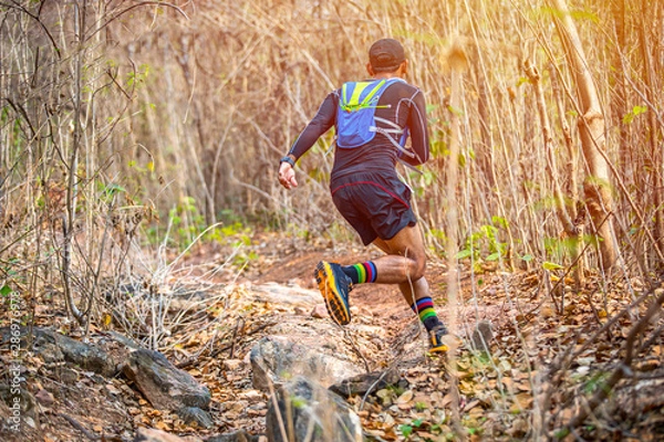 Fototapeta A man Runner of Trail and athlete's feet wearing sports shoes for trail running in the forest