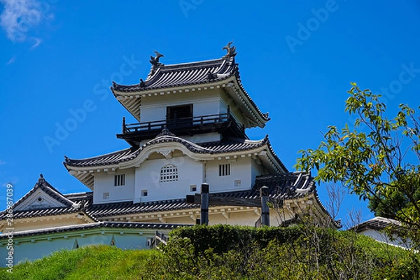 Fototapeta 静岡県 掛川城
