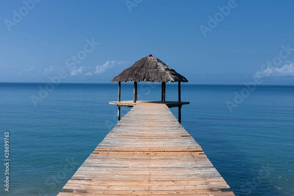 Obraz Ponton N’Gouja