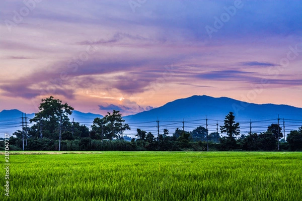 Obraz sunset over green field