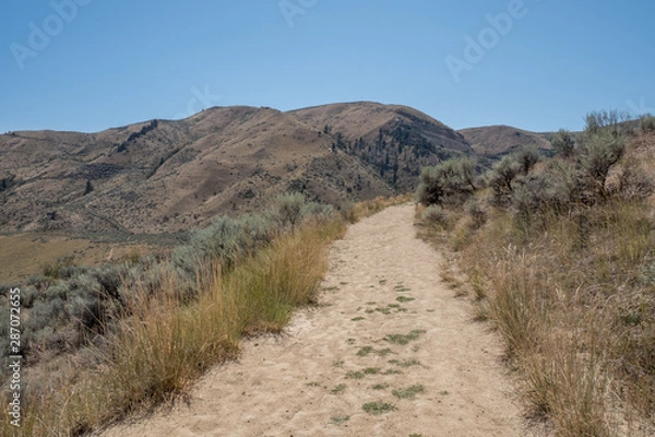 Fototapeta desert trail leading to Saddle Rock foothills in Wenatchee Washington