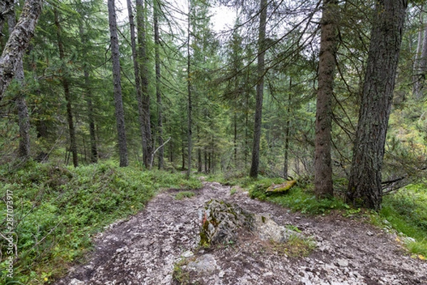 Fototapeta Dolomites - Cortina D'Ampezzo - Italy