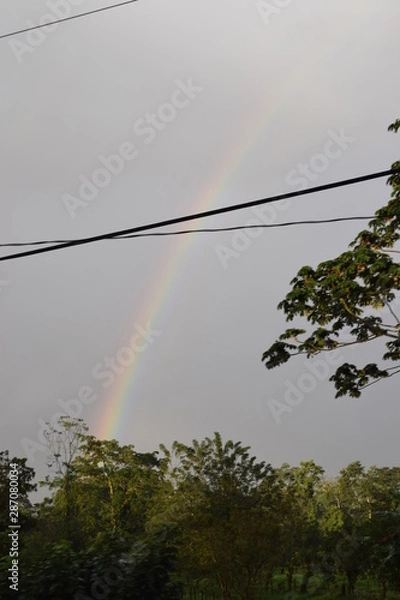 Obraz La perfección