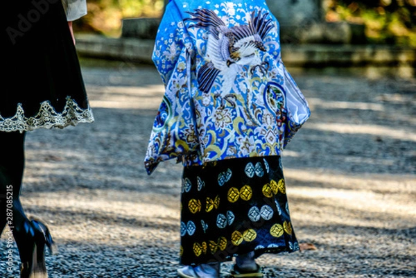 Obraz 日本の伝統行事七五三5