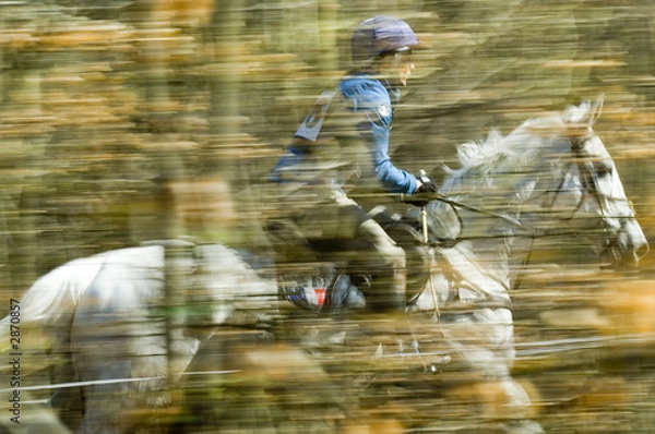 Obraz concours de compiègne