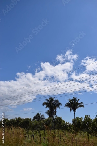 Fototapeta Super sol