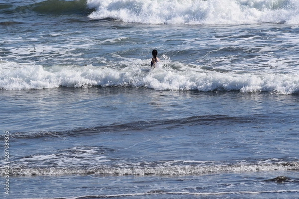 Obraz Olas y más olas