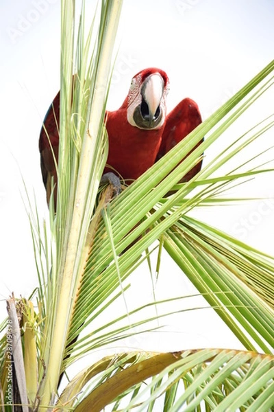 Fototapeta Tardeando