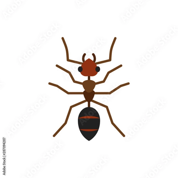 Obraz Ant insect animal single flat color vector icon