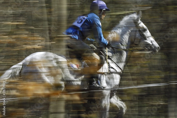 Obraz concours complet de compiègne