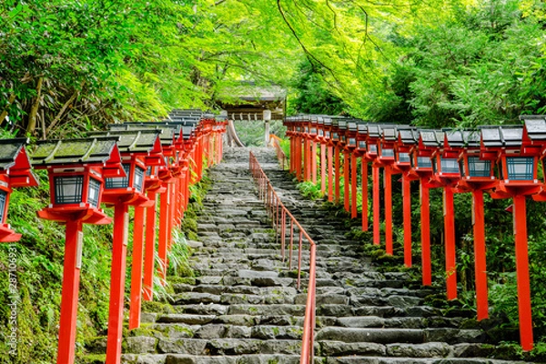Obraz 夏の貴船神社