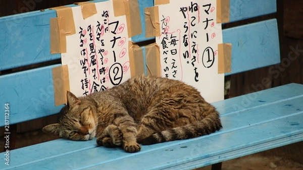 Fototapeta 尾道散策