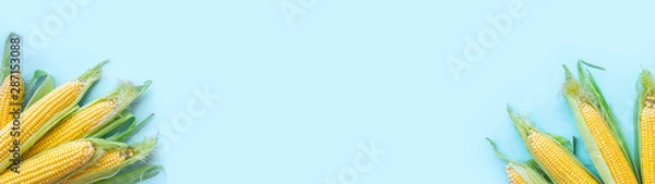 Fototapeta Fresh juicy corn on a blue background. The concept of a healthy diet.