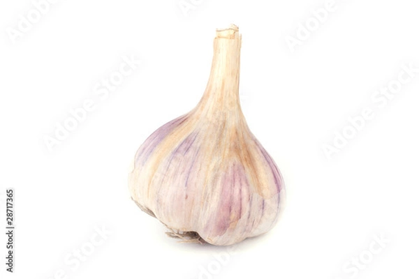 Obraz Garlic