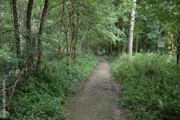 Fototapeta Landschaft