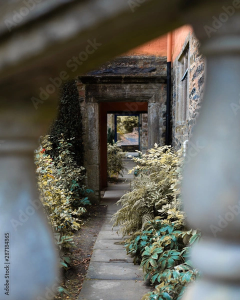 Obraz looking through the door