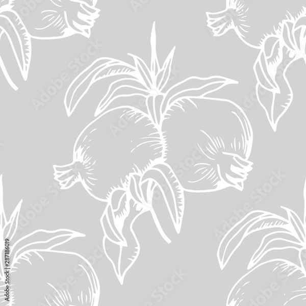 Fototapeta pomegranate tropical fruit seamless pattern
