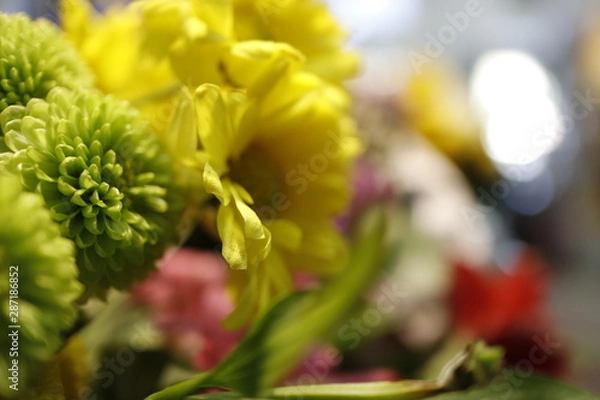 Obraz yellow flowers 