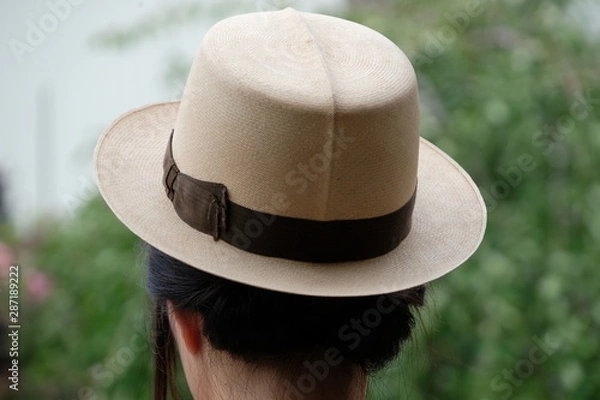 Obraz パナマハット