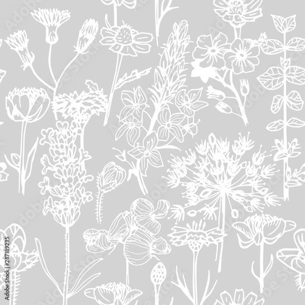 Fototapeta seamless floral pattern with wild flower