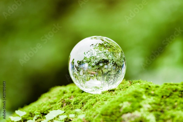 Obraz 苔とガラスの地球儀