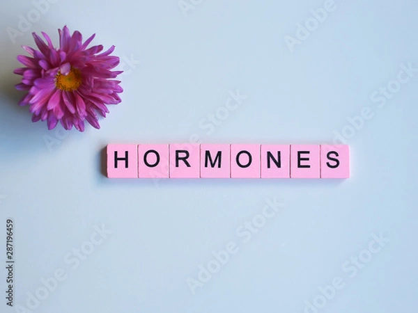 Obraz Hormones word wooden cubes on a white background