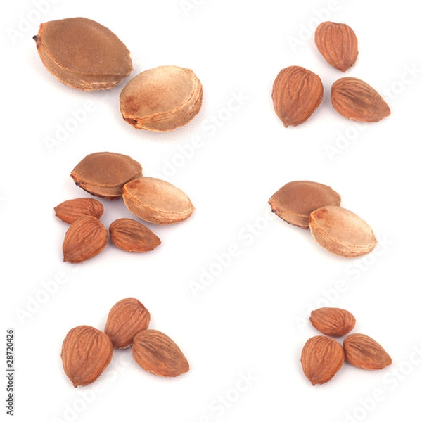 Fototapeta Apricot stone