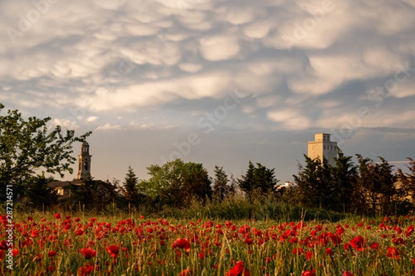 Obraz Clouds over the country