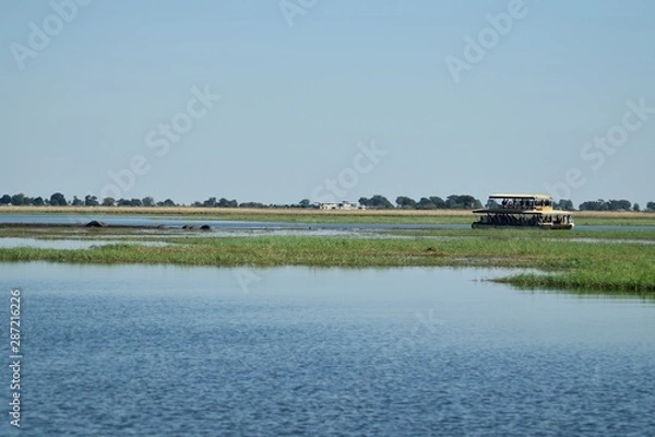 Obraz Safari na łodzi