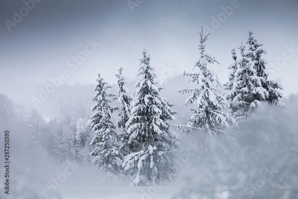 Fototapeta Winter postcard.