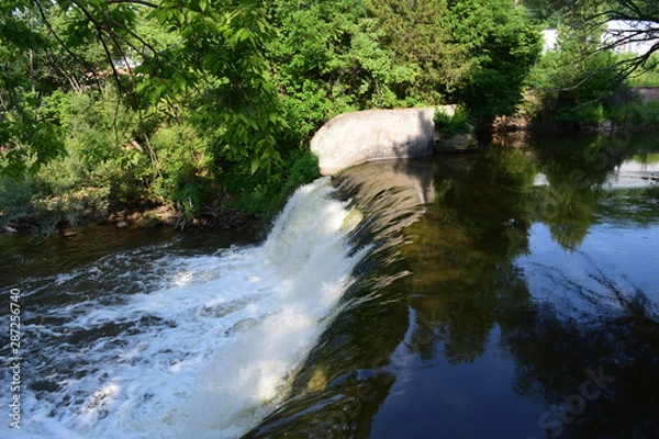 Obraz river in the forest
