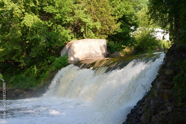 Obraz waterfall in the forest