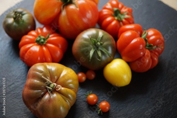 Obraz historic Tomatos