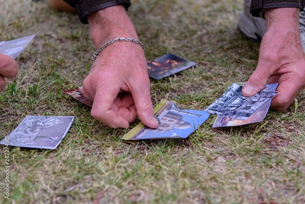 Fototapeta people play a game with cards on the grass in the garden