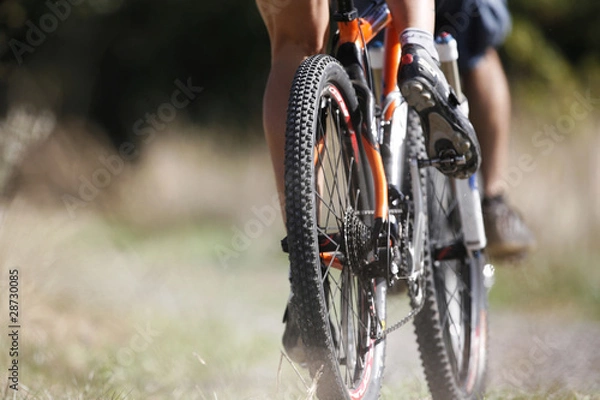 Obraz vtt