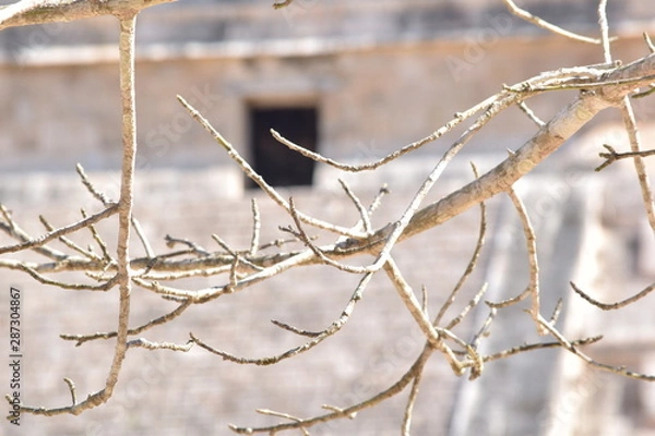 Fototapeta chichen itza ruins

