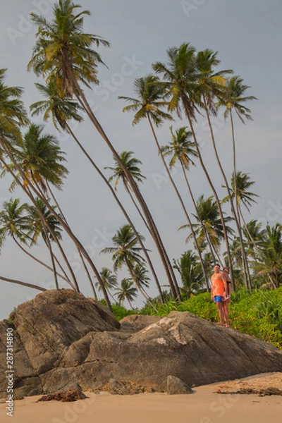 Fototapeta Beautiful beach with palm trees and boulders on the tropical island of Sri Lanka.